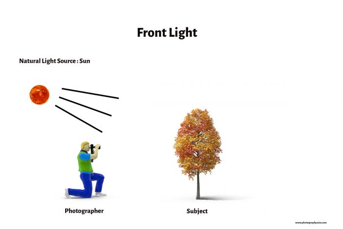 Front Light Photography