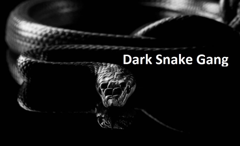 Dark Snake Gang and  Change The Color Of Google Snake