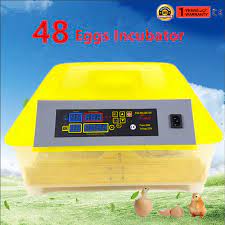 New Type 48 Eggs Automatic Chicken Egg Incubator And Hatcher Machine