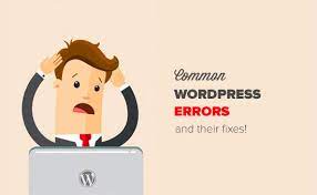 How Duo Admin Solves Some Common WordPress Problems?