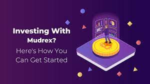 What Is A Mudrex And Why Should You Care?