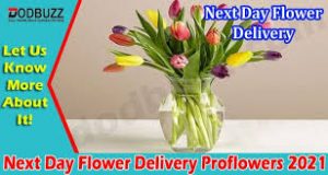 next day flower delivery proflowers