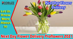 How Does Proflowers Deliver Flowers On The Next Day?