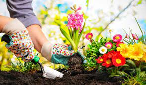 How Smart Gardening Helps You Improve Your Home, And Save Money