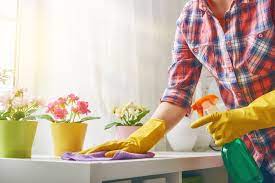 5 Top Wellbeing Ways to clean A House