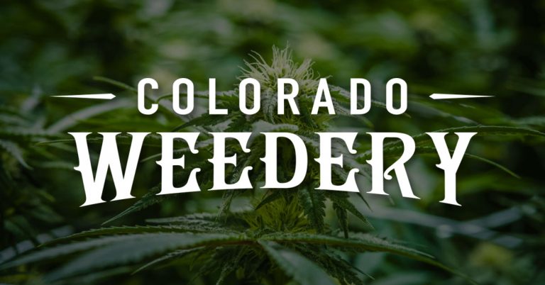 “Discovering Colorado Weedery in Palisade”
